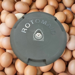 Rotomaid Egg Washer Base Only.  No stock until September